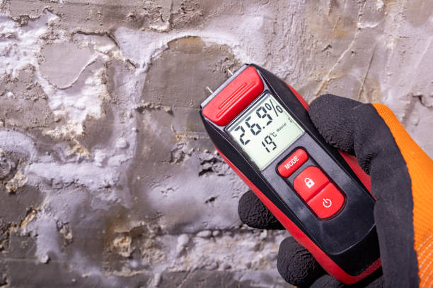 Best Mold Testing and Inspection Services in Fremont, OH