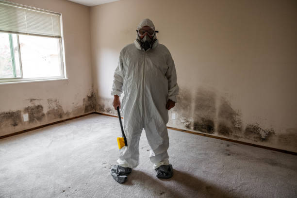 Best Bathroom Mold Remediation in Fremont, OH